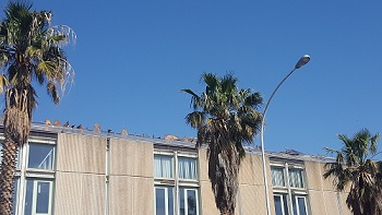 foto edificio IRSAP via ferruzza PALERMO - dopo furti d igrondaie di rame dai tetti